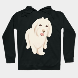 Cute Maltipoo Dog Hoodie